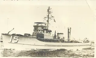 USS Grouse (AMS-15)