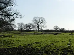 Minshull Vernon Moated Site