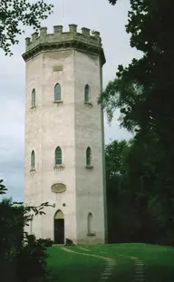 Nelson's Tower