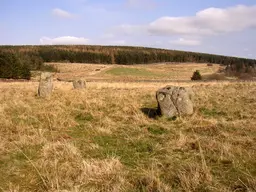 Threestoneburn Stone Circle