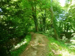 Bury Hill Fort