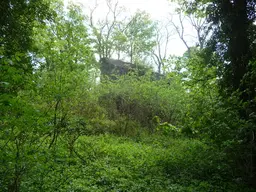 Blaenllynfi Castle