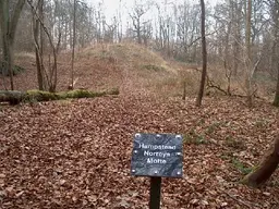 Hampstead Norreys Motte