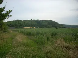 Torberry Hillfort