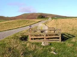 Yarrow Stone