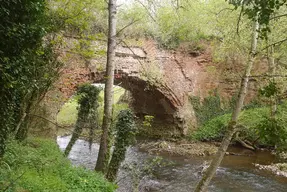 Leominster Canal