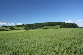 Waddon Hill (Roman Fort)