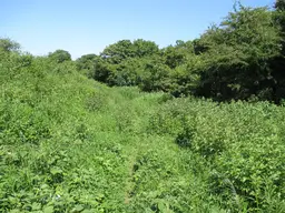 Hollingbury Hill Fort