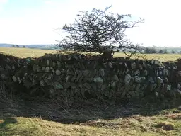 Lanchester Roman Fort (Longovicium)