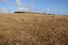 Fenacre Stone Circle