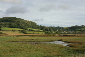 Hawkesdown Hill Camp