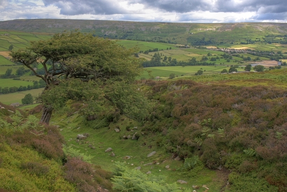 Maiden Castle