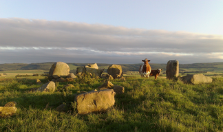 Ardlair stone circle