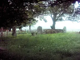 Old Keig stone circle remains