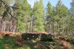 Blue Cairn Of Ladieswell stone circle (remains)