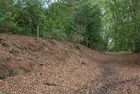 Malwood Castle Hillfort