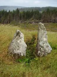 Meallach's Grave