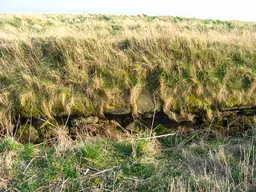 Site of Cowie Castle