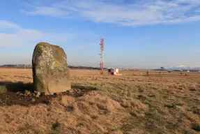 Cat Stane