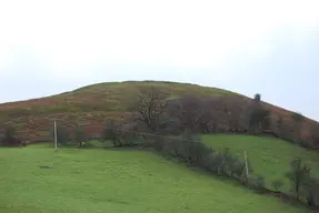 Llwyn Bryn-Dinas