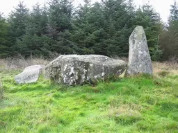 Loudon Wood Recumbent Stone Circle