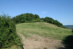 Sidbury Castle