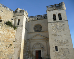 Collégiale Saint-Sauveur