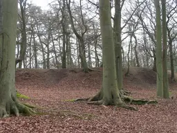 Grimsbury Castle - Main fortifications