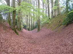 Woodbury Castle