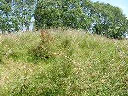 Notgrove Long Barrow