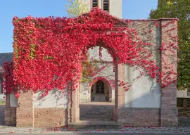 Église Sainte-Catherine