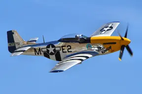 F-51D 'Mustang' Fighter (U.S.A.)