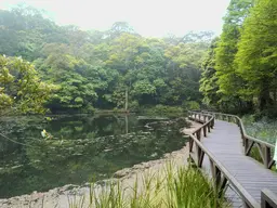 Fushan Botanical Garden