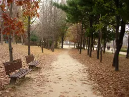 Seoul Forest