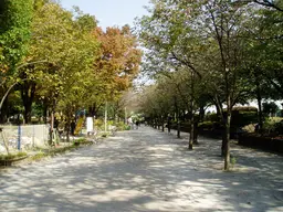 Sumida Park