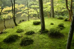 Saihoji Temple