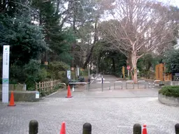 Rinshi No Mori Park