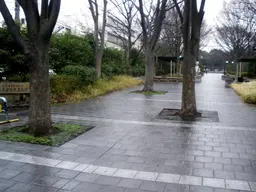 Shinagawa community park