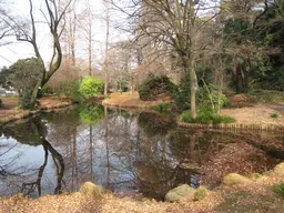 Koishikawa Botanical Gardens