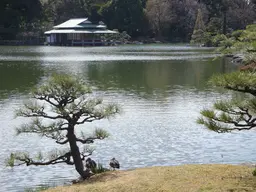 Kiyosumi Gardens