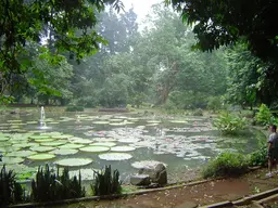 Bogor Botanical Gardens