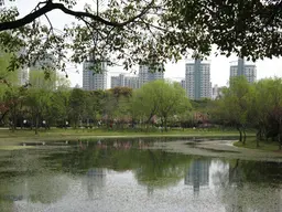 Century Park