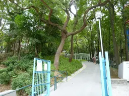 Central Kwai Chung Park