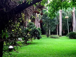 Jardín Botánico de Caracas