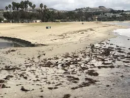 Doheny State Beach