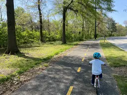 Piney Branch Portal