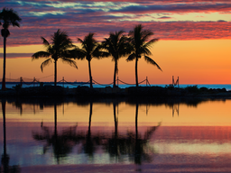 Matheson Hammock Park