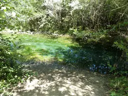 Marshall Gold Discovery State Historic Park