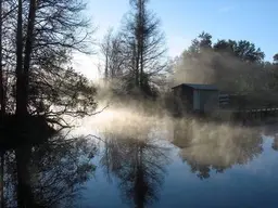 Lake Griffin State Park