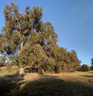 Esther Clark Park